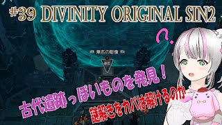 【DOS2】#39 カバは古代遺跡を発掘する【Divinity original sin 2】