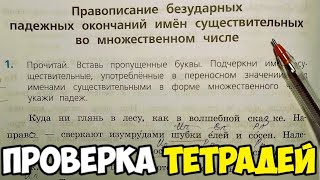 Проверяю проверочные работы по русскому языку