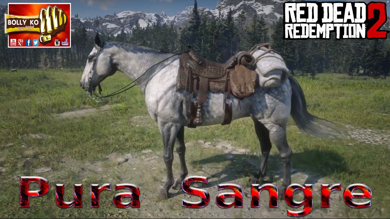 Red Dead Redemption 2 - Pura Sangre ps4 games 2019