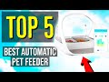 ✅ TOP 5: Best Automatic Pet Feeder 2020