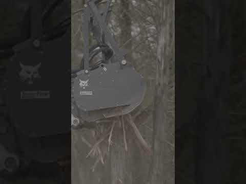 Overgrowth’s worst nightmare.