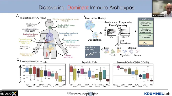 Discovering Spatiotemporal Archetypes of Dominant and Reactive Cancer Immunity by Dr. Max Krummel - DayDayNews