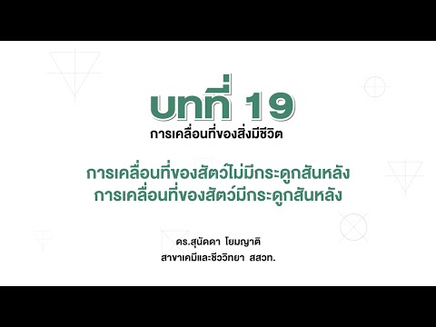 การเคลื่อนที่ของสัตว์ไม่มีกระดูกสันหลังและสัตว์มีกระดูกสันหลัง (ชีววิทยา ม. 6 เล่ม 5 บทที่ 19)