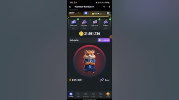 Hamster kombat cipher code 24 August | cipher code hamster Kombat | daily combo | cipher code