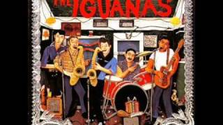 Vignette de la vidéo "The Iguanas - Por mi camino"