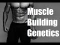 The Truth About Genetics and Muscle Building