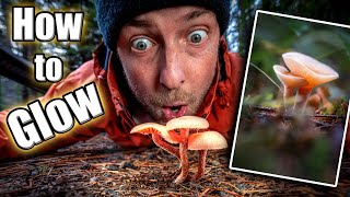 How to make the glowing mushroom photos! 😁