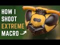 How to shoot EXTREME MACRO the EASIEST way (No Focusing Rail | No Macro Lens | No Microscope)