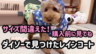 ダイソーのレインコート着てみた結果がこちらです。【ダイソー商品】【商品紹介】【悲報】