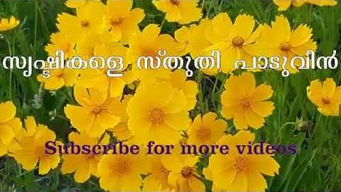 Srishtikale sthuthi paduvin | Malayalam Christian Devotional Songs
