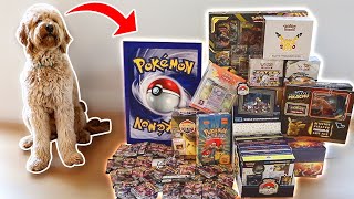 A PUPPY Opens Pokémon Cards (INSANE PULLS!!!!)