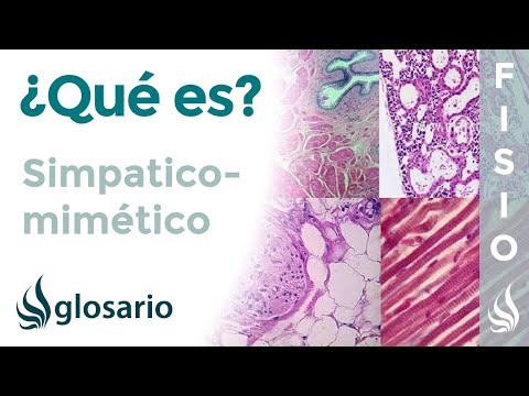 Video: ¿Cómo actúa un fármaco simpaticomimético en el organismo?