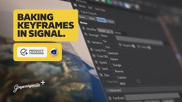 Greyscalegorilla Signal Training: Baking Keyframes