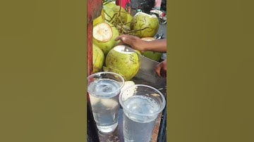 Effortless Coconut Opening Technique You Must Try! #coconutwater