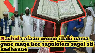 Nashida Afaan oromo Illahi Nama Gane Maqa sagaltami sagalin si kadhane
