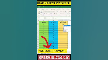 ROMAN COUNT IN  MS EXCEL #customformatting #excelautomation #contentcreation #formattingtips