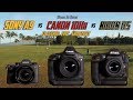 Sony A9 vs Canon 1Dxii vs Nikon D5 | Flagship Epic Shootout Review | Which Camera to Buy