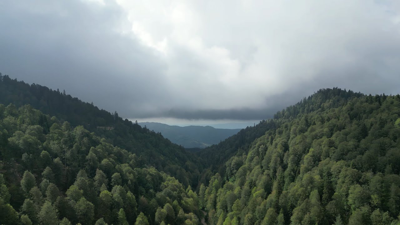 Switzerland of Turkey: Turnalık Plateau - Akyazı, Sakarya