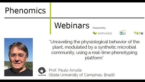 Paulo Arruda: Unraveling the physiological behavior of the plant using real-time phenotyping