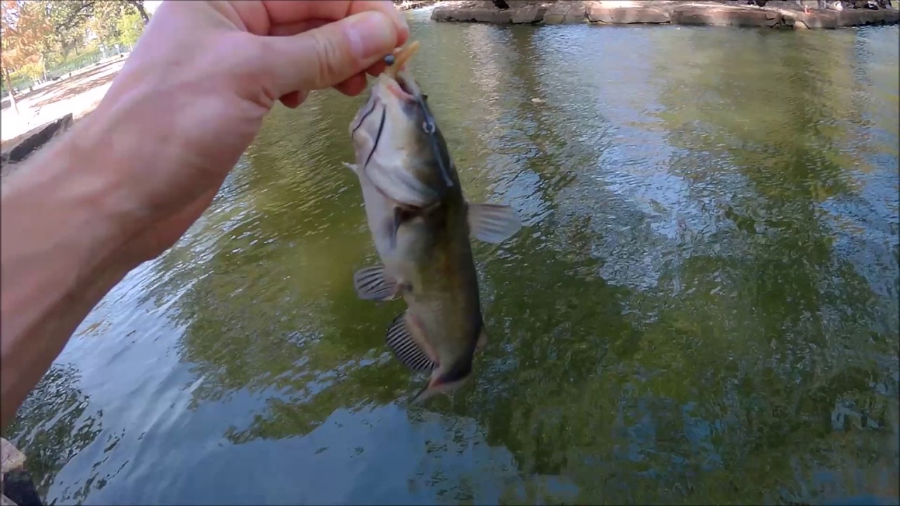 Tulsa Fishing: Easy Angling at Owen's Park Pond