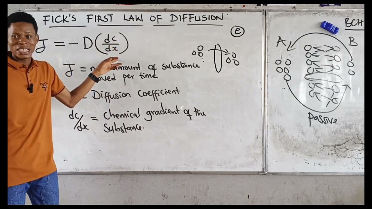 FICK'S FIRST LAW OF DIFFUSION