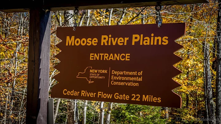 Moose River Plains, Adirondack's