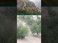 ویدیو: وقوع سیلابهای ویرانگر در ولسوالی برگمتال ولایت نورستان