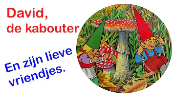 David de kabouter en zijn lieve vriendjes (Vlaams gesproken)