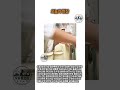 수직 전단 변형과 원주 마찰 계수를 활용한 만두피 대량 절삭 원리 #worker #process #engineering #foodprocessing #diy