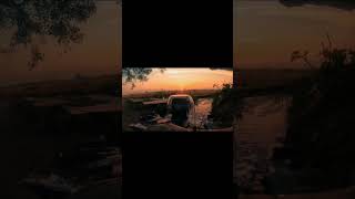 Artesian Wells flows upward through a well without pumping  #viral #shorts #shortsfeed #water #music