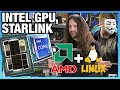 HW News - AMD Wants US Fab & More Linux, Intel Gaming GPU, StarLink Scares ISPs