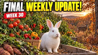 We’re Ending Our Weekly Garden Updates—Here’s What Comes Next