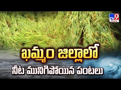 Heavy Rains In Telangana | ఖమ్మం జిల్లాలో నీట మునిగిపోయిన పంటలు | Cyclone Montha- TV9 - TV9