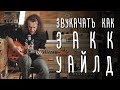 Как звучать как Закк Уайлд | gitaraclub.ru