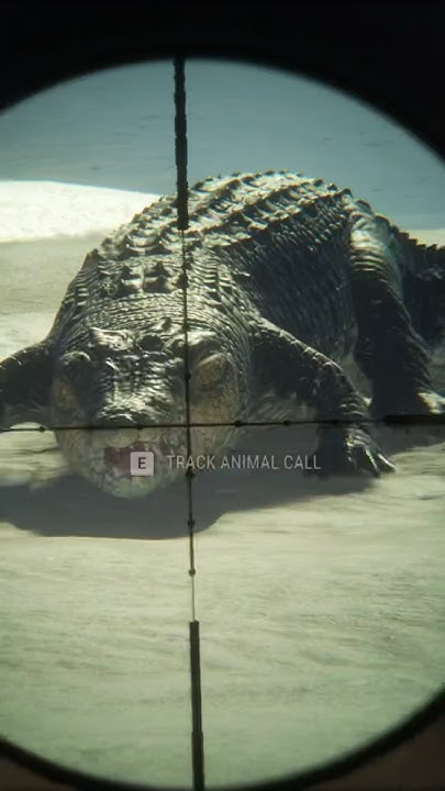 Saltwater Crocodile Attack! (The Hunter Call Of The Wild) #hunting #