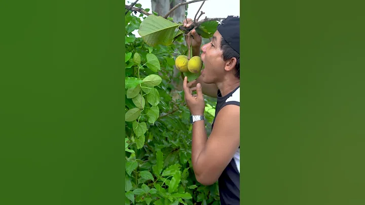 Outdoorfood SIMPLE and USEFUL NEW IDEA UNLOCKED In Forest #survival #forest #outdoor #bushcraft