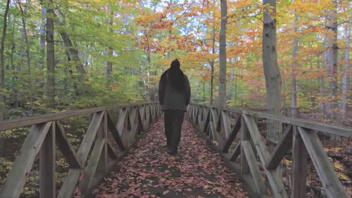 Robbie Jenkins- Totally Anew (Official Music Video)