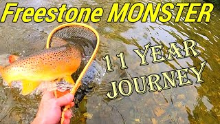 GIANT WILD BROWN TROUT | Battenkill River FLY FISHING
