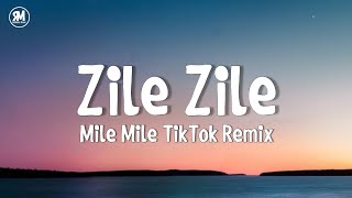 zile zile song || zile zile mile mile tiktok remix song