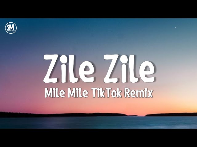 zile zile song || zile zile mile mile tiktok remix song class=