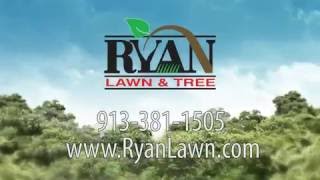 Emerald Ash Borer Commercial
