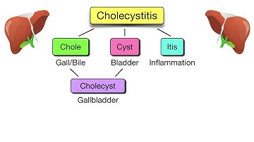 Cholecystitis vs Cholelithiasis vs Cholangitis vs Choledocholithiasis Nursing, USMLE
