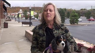 Proposed Bill Would Ban Puppy Mills in Pennsylvania