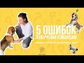 5 ОШИБОК В ОБУЧЕНИИ КОМАНДАМ: почему собака не слышит вас?