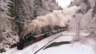 Steam Train 🚂 Going through beautiful places 🇷🇴 Mocănita Maramureș!