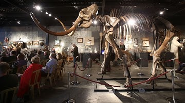 How does animal de-extinction work?