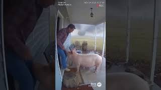 Trending  On Youtube