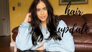 Repair Damaged Hair | Hair Update!