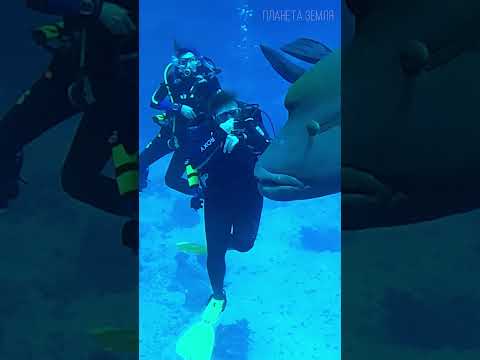 Красное море: Живописный