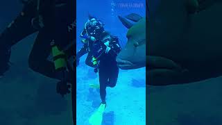 Красное море: Живописный подводный мир 😉 #природа #море #география